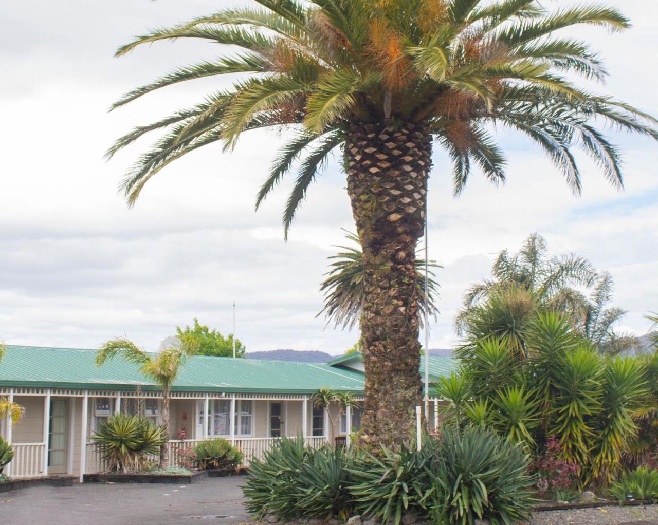 Palm Motel Waihi Dış mekan fotoğraf