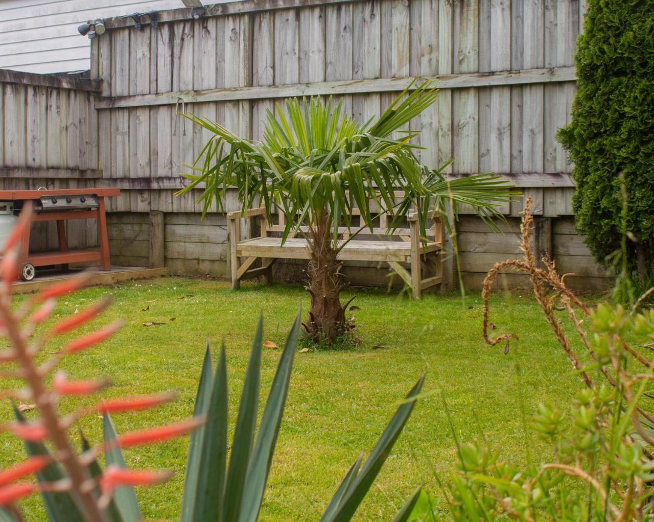 Palm Motel Waihi Dış mekan fotoğraf